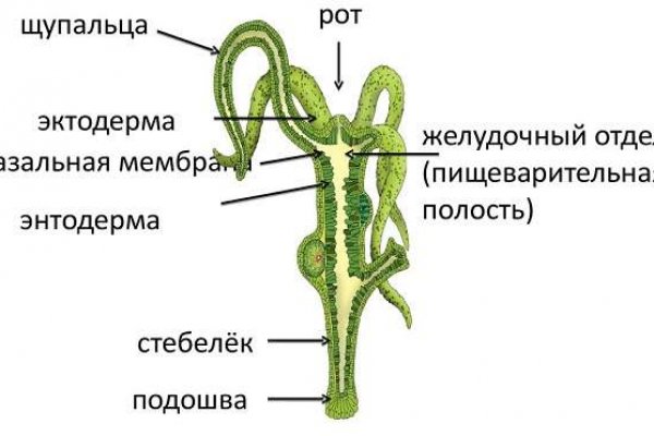 Kraken рабочая ссылка onion